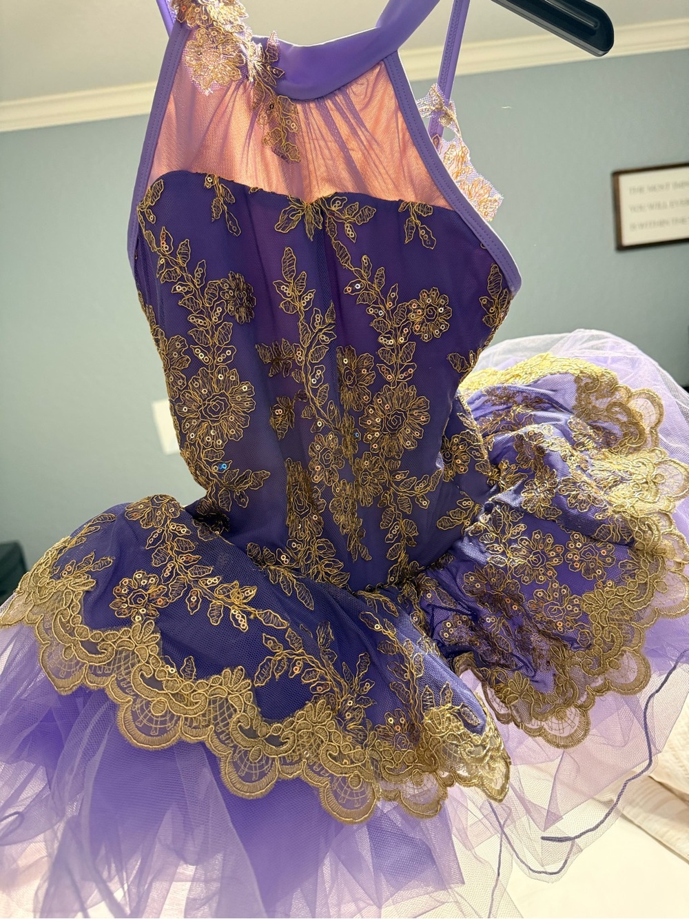Purple Ballet Tutu with Gold Lace Embroidery